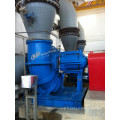 Fgd Pump (TLR)